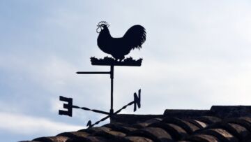 Zapowiedź silnych wiatrów w Toruniu i powiecie toruńskim