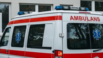 Bezpieczne grzybobranie: Jak cieszyć się leśnymi wyprawami bez ryzyka