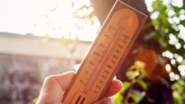 Aktywny długi weekend w gminie Chełmża: odkryj złotą jesień!