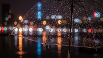 Przymrozki znów nad Toruniem!