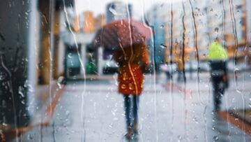 Przymrozki znów uderzą w Toruniu