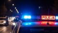 Bydgoski recydywista w rękach policji za kradzieże alkoholu i nie tylko